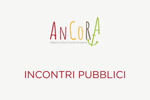Incontri pubblici
