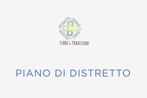 Piano di distretto Piano di distretto