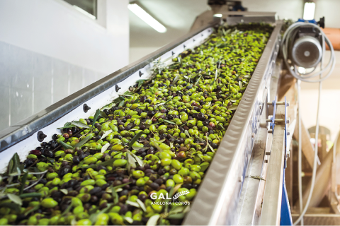 Sostegno a investimenti a favore della trasformazione, della commercializzazione e/o dello sviluppo dei prodotti agricoli 72452