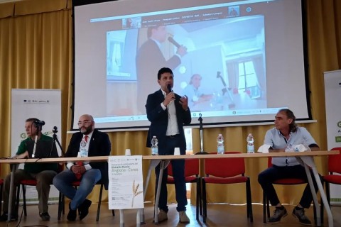 Verbali degli incontri di animazione territoriale Verbali degli incontri di animazione territoriale